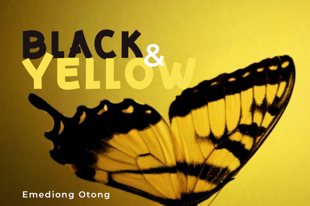 Black and Yellow Butterfly